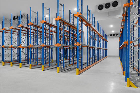 Cold storage & freezer facilities
